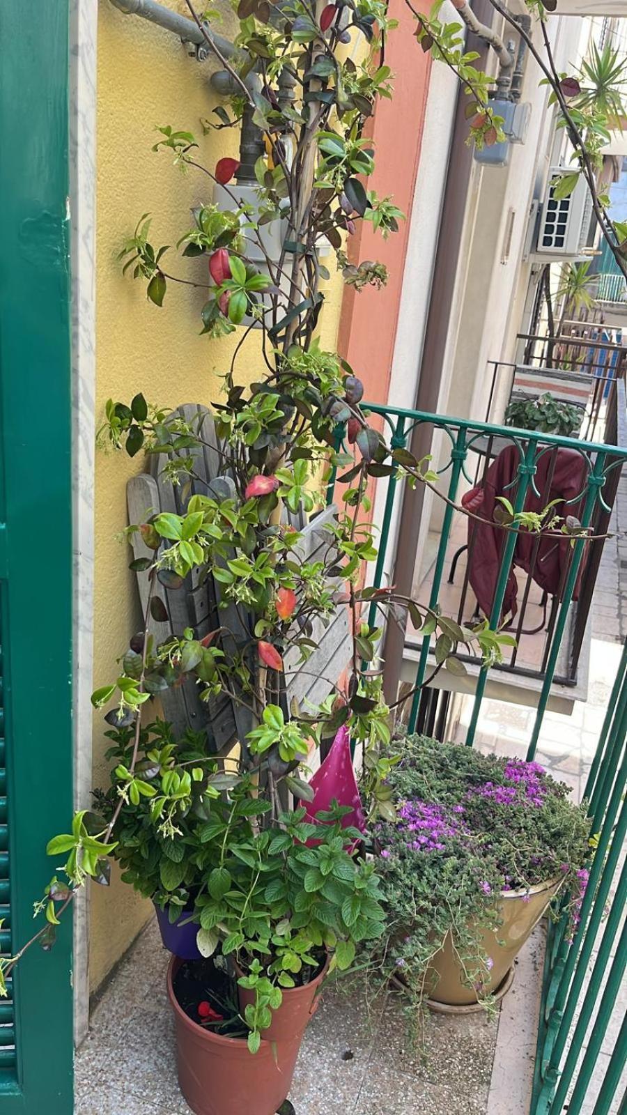 فيلا La Casa Di Nonna Sisina مولا دي باري المظهر الخارجي الصورة
