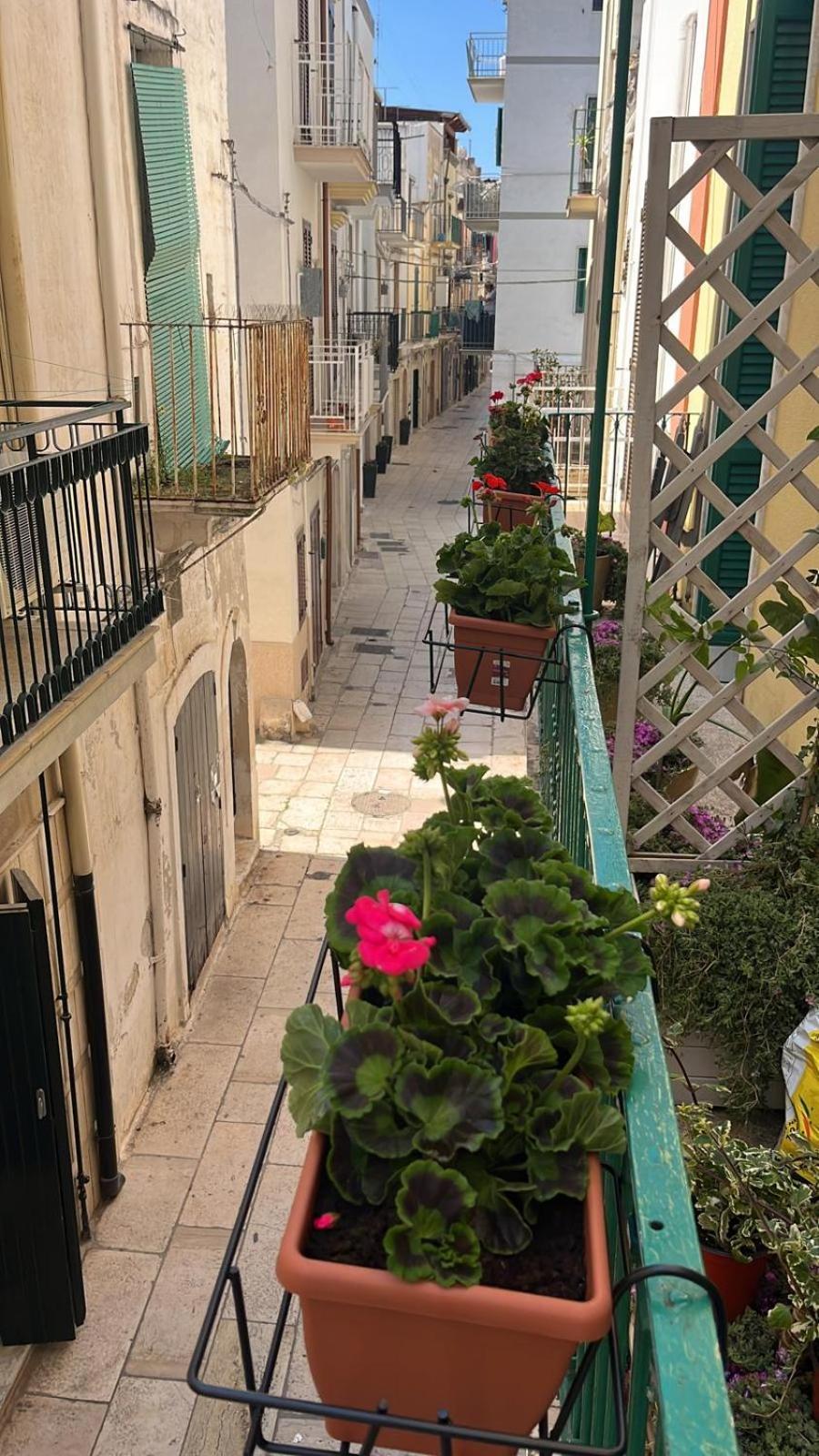 فيلا La Casa Di Nonna Sisina مولا دي باري المظهر الخارجي الصورة